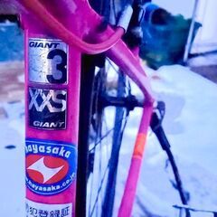 お買い得】GIANT ジャイアント　ピンク　XXS　GIANT3の画像