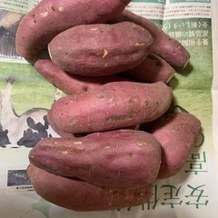 さつまいもご予約開始!!限定18本!!1本200円!!