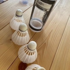 【貰って下さい】バトミントン・セットの画像