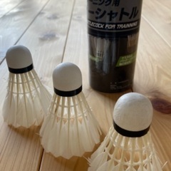 【貰って下さい】バトミントン・セットの画像