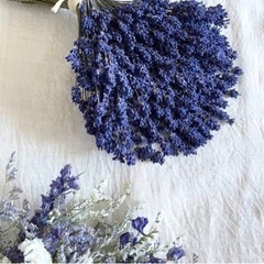 ブルー系花材の画像