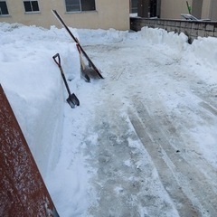 大至急！除雪アルバイトの画像