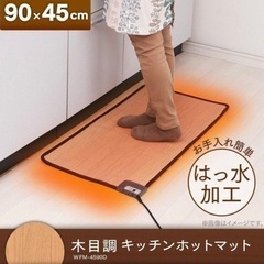 節電 撥水 ホットカーペット 木目調 45×90cm 犬 猫 ペット