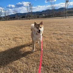 犬友募集🐶 - 友達