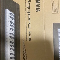 【キーボード】YAMAHA piaggero NP-12B