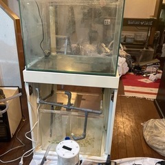 【お譲り先決定しました】オーバーフロー水槽セット　