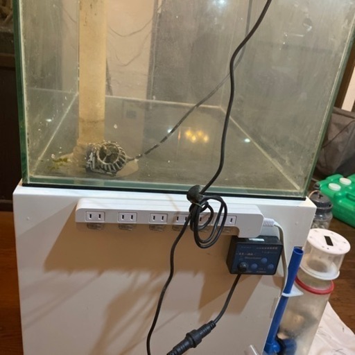 【お譲り先決定しました】オーバーフロー水槽セット　