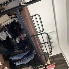 ロフトベット　新生活応援