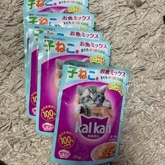 決まりました。子猫用　kalkan  お魚ミックス