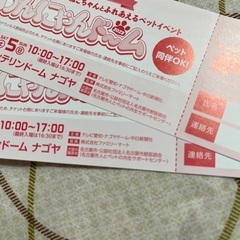 わんにゃんドーム2023招待券2枚