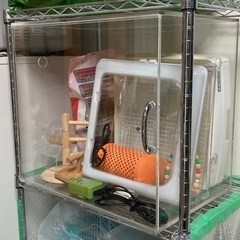 インコ 飼育セット