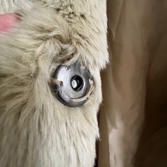 ファーコートの画像