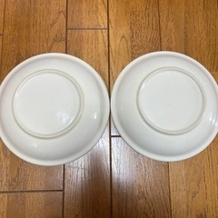 WONDER KIDS 大きめのお皿の画像
