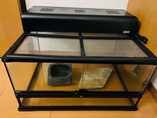 爬虫類 ケージ グラステラリウム