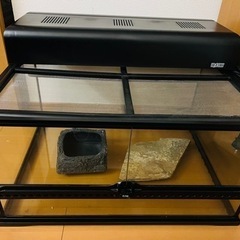 爬虫類 ケージ グラステラリウム