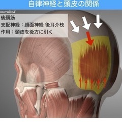 頭皮ケア講座