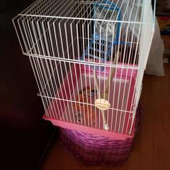 鳥かご③の画像