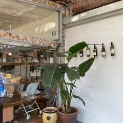 梅田のカフェでお話しましょう♩