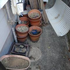 水瓶、植木鉢、無料です。の画像