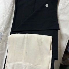 夏の喪服　裄68cm   長襦袢つきの画像