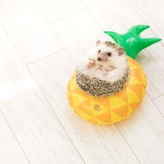 ⭐⭐⭐スグ働けます❗❗ ⭐⭐⭐　　　　　　　　　　　　　　　　　...