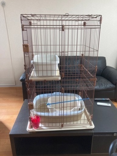 猫ゲージ