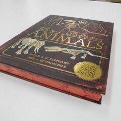 絵本　BONE　COLL　ANIMALS　工作　未使用品