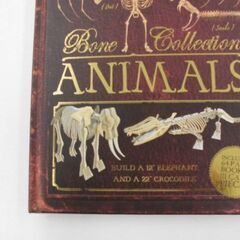 絵本　BONE　COLL　ANIMALS　工作　未使用品の画像