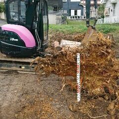 抜根作業(水道管・排水管付近)いたします。