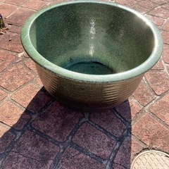 睡蓮鉢　メダカ飼育に。。