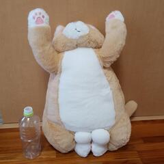 ネコ　BIGぬいぐるみの画像