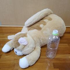 ネコ　BIGぬいぐるみ