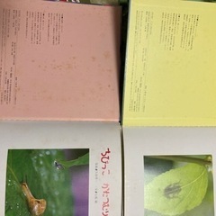 自然きらきら4冊✨本を差し上げますの画像