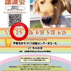 2月5日 保護犬・保護猫・保護兎　譲渡会