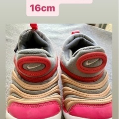 【受取者決定】NIKE ダイナモフリー 16cm