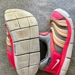 【受取者決定】NIKE ダイナモフリー 16cmの画像