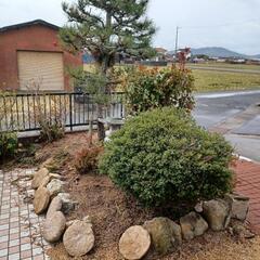 庭木、灯籠等を差し上げます。