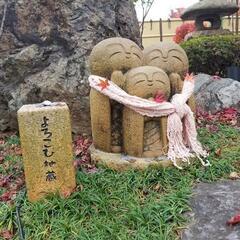 みんなでワイワイ楽しいツーリング仲間募集中 - メンバー募集