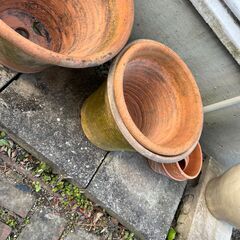 鉢貰ってくださいの画像