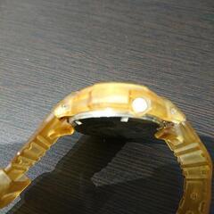 CASIO G-SHOCK AW-500NS PSCモデル セイウチの画像