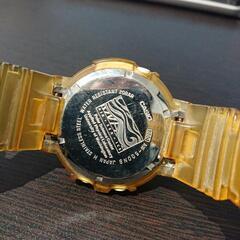 CASIO G-SHOCK AW-500NS PSCモデル セイウチの画像