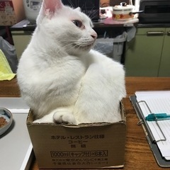 有限会社　あすなろセミナー　数学受講企画！の画像