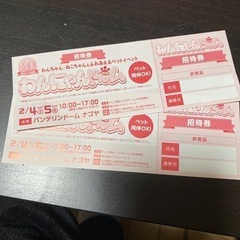わんにゃんドーム2023
