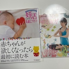 妊活の本、妊活力があがるヨガDVDつき