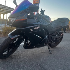 1ヶ月限定値下中！！Kawasaki ninja250r