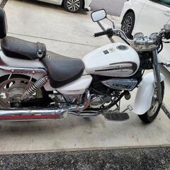 ヒョースン  GV250  不動の画像
