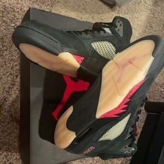 ジョーダン5 レトロ　GORE-TEX オフノワール　28.0の画像