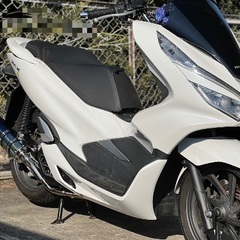 極上車 PCX jf81 低走行 