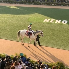 2023年も競馬場へ観戦しに行きましょう〜 − 東京都