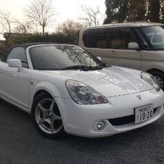 MR-S   中古車　Sエディション  白　セミオートマ　シーケ...